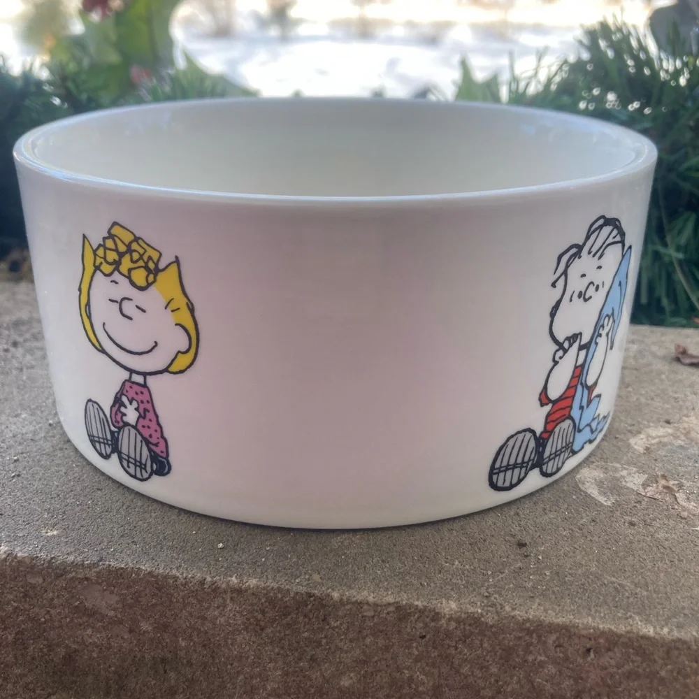 The peanuts pets bowl
